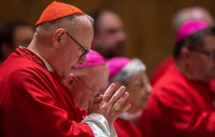 Cardinal Timothy Dolan of New York Daniel Ibanez/CNA